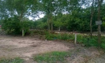 Muốn mua vài sào đất tại Vĩnh Thanh Nhơn Trạch Đồng Nai